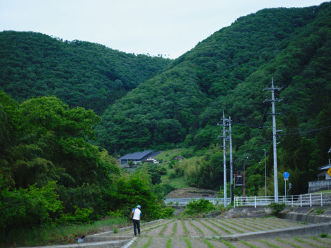 除草