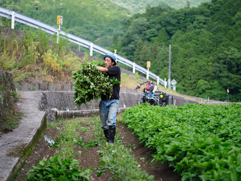 土づくりから責任をもつ
