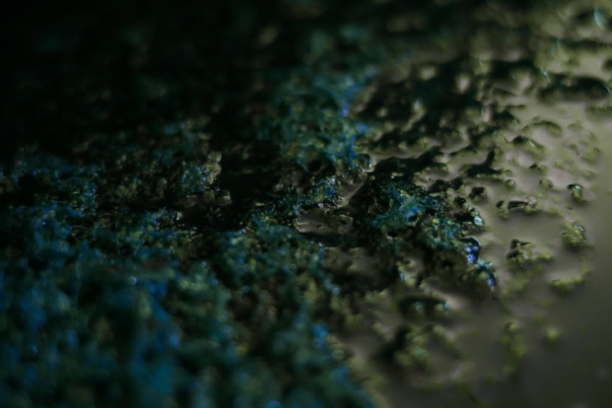 TOP｜THE TERROIR